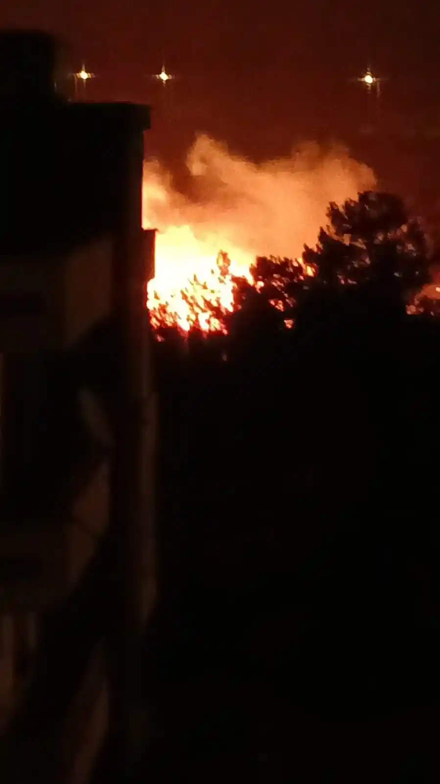 İskenderun'da ağaçlık alanda çıkan yangın paniğe neden oldu
