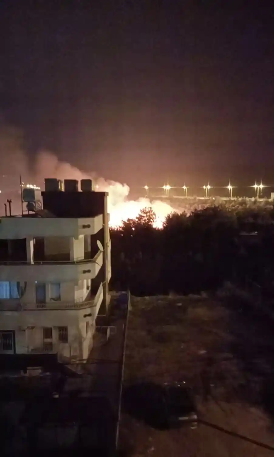 İskenderun’da ağaçlık alanda çıkan yangın paniğe neden oldu