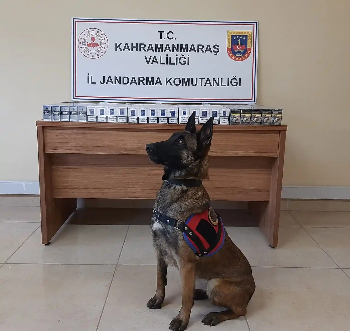 Kahramanmaraş'ta kaçakçılıkla mücadele