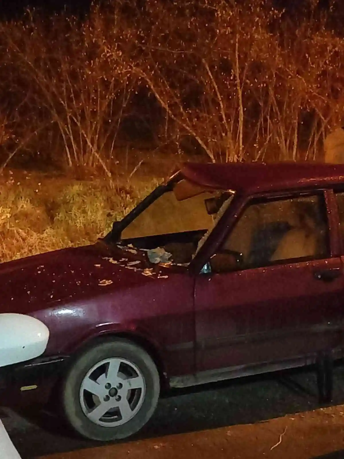 Karayoluna çıkan ineğe otomobil çarptı