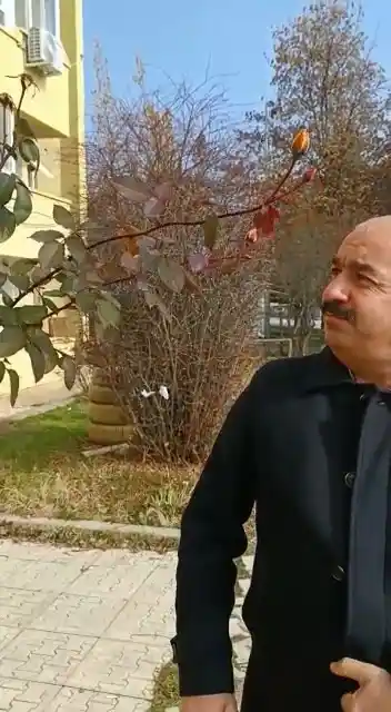 Kış ortasında güller açtı, vatandaşlar şaşırdı