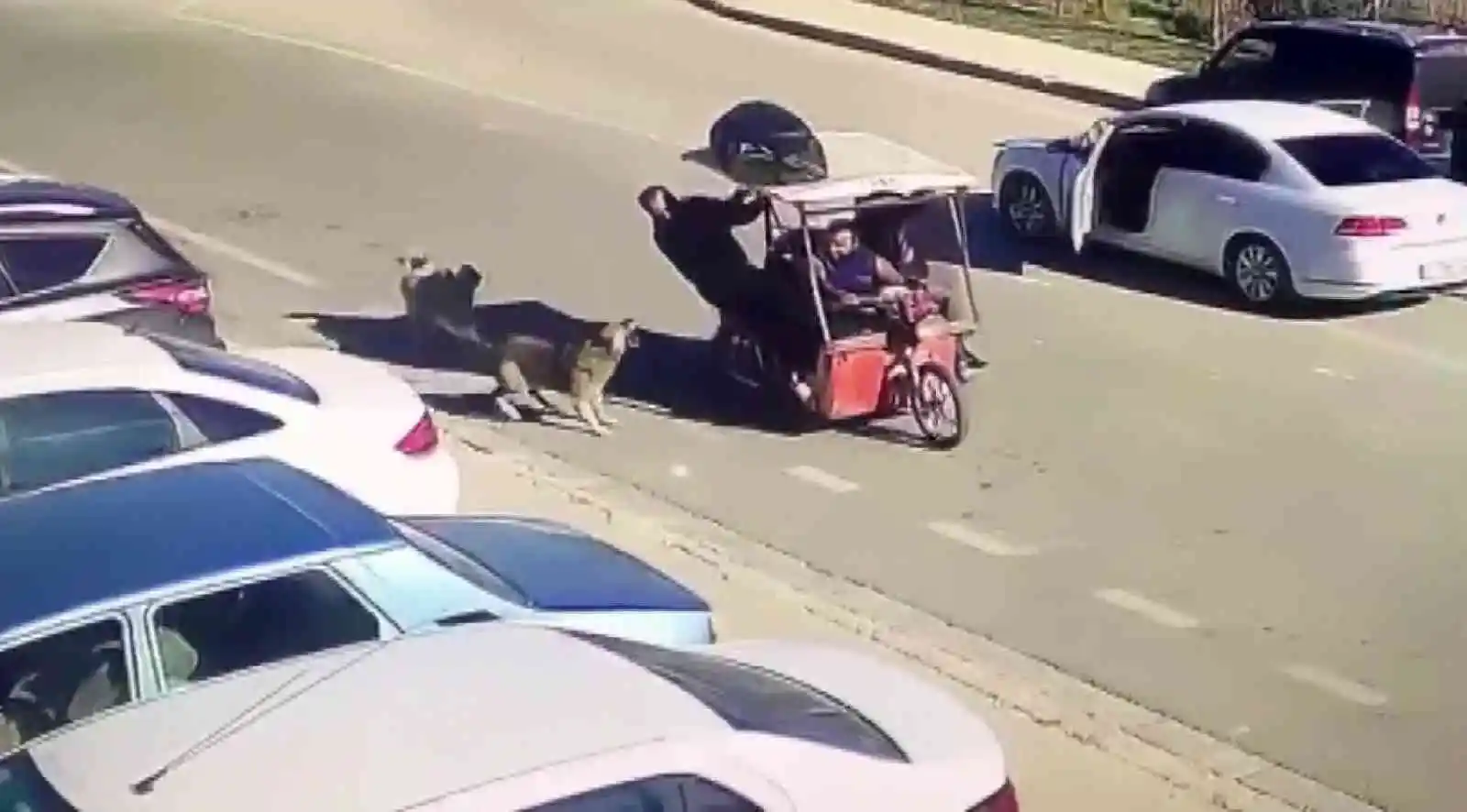 Köpekler saldırdı, motordan inen şahıs hayvanlara kızarak kovaladı
