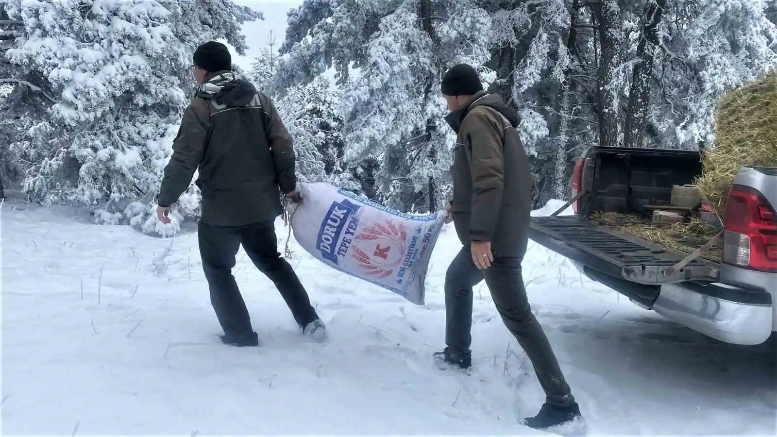 Kütahya OBM’den yaban hayvanlarına yem desteği