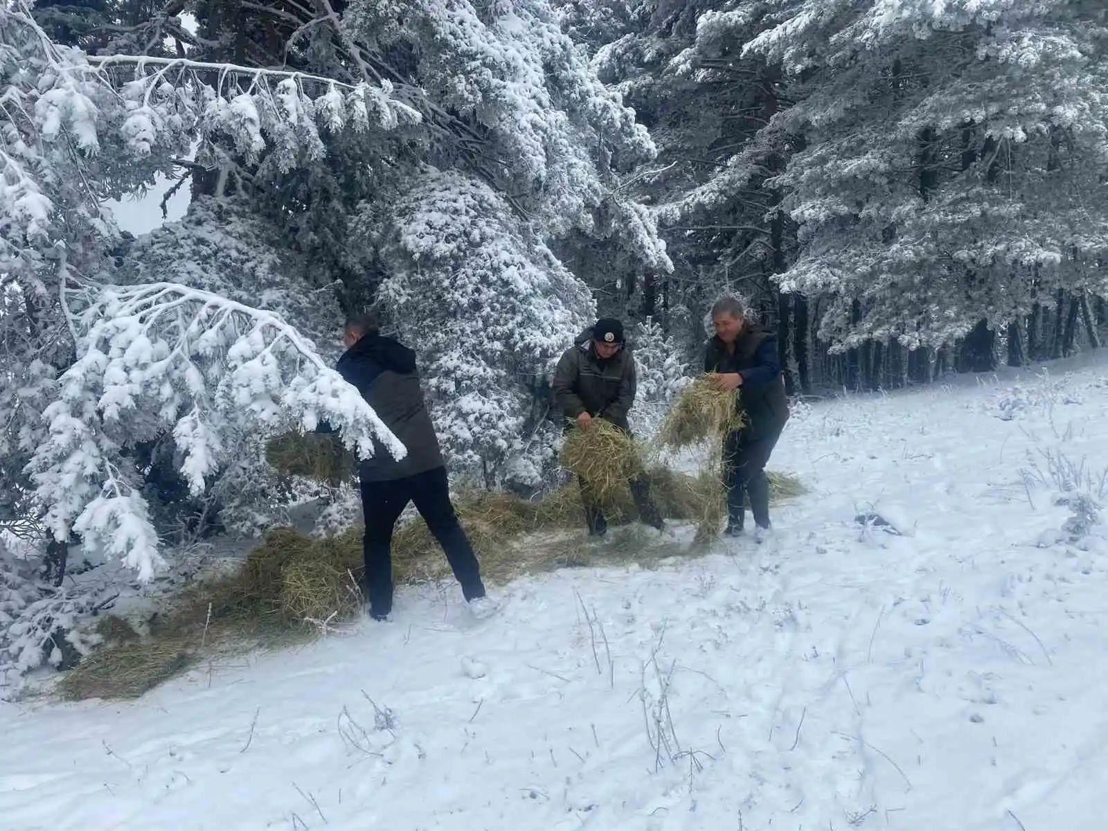 Kütahya OBM’den yaban hayvanlarına yem desteği