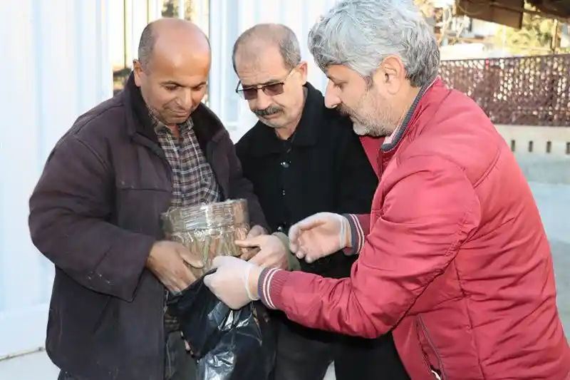Kütükte istiridye mantarı üretilecek