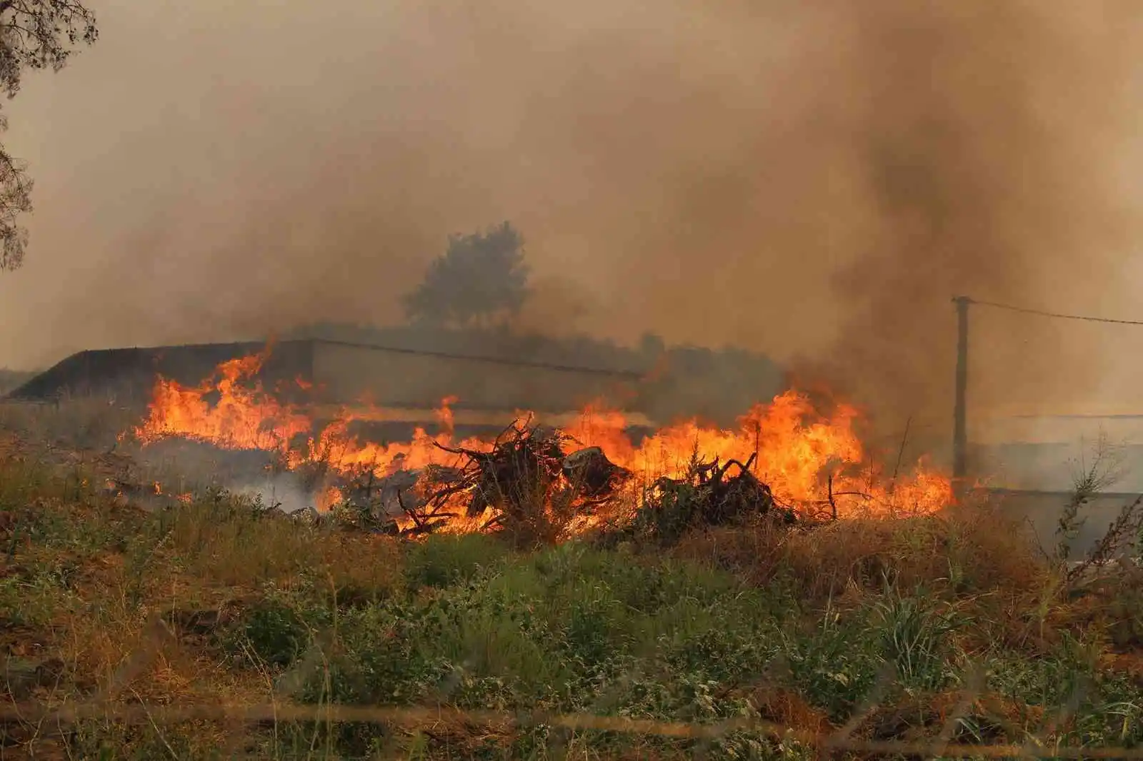 Manavgat orman yangını davasında karar
