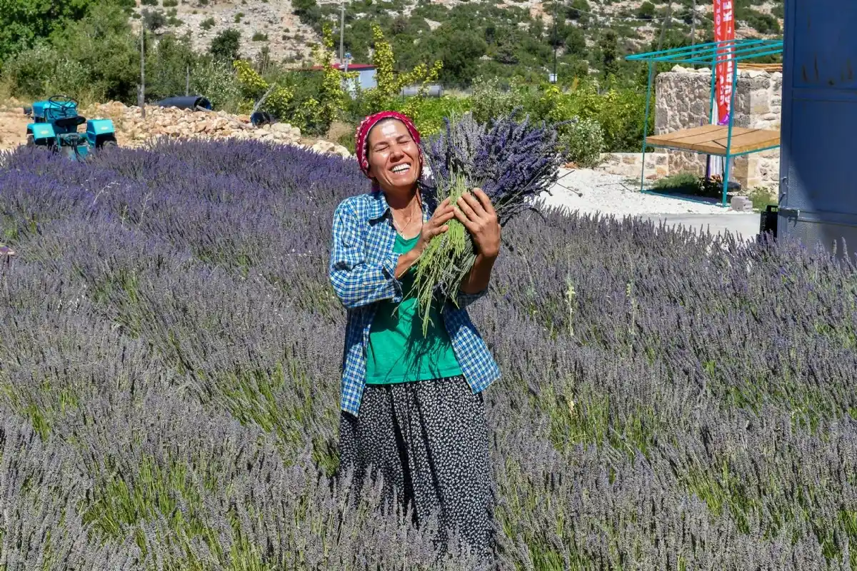 Mersin Büyükşehir Belediyesinden üreticiye destek sürüyor
