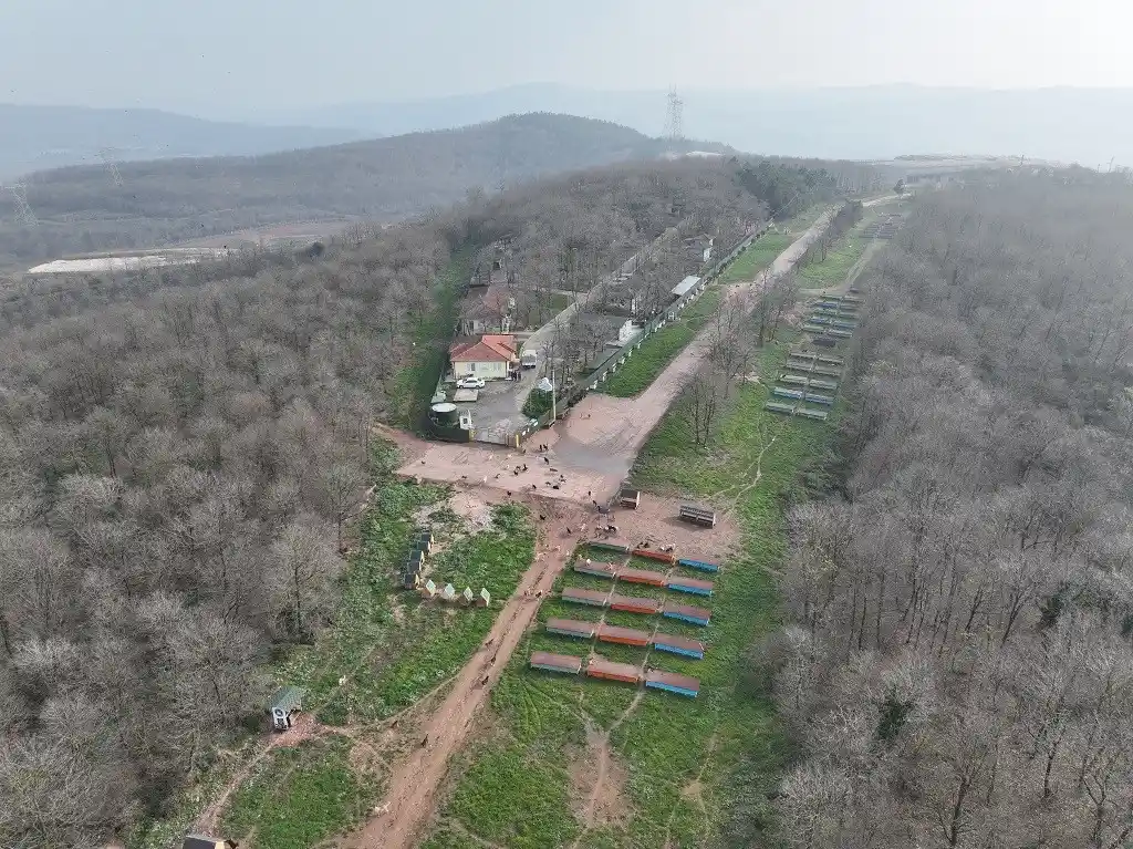 O merkez sahipsiz canlara umut olmaya devam ediyor