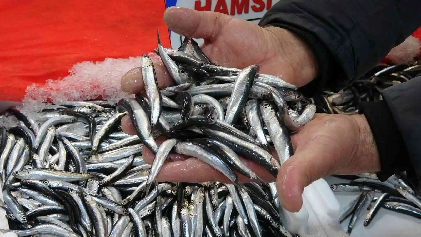 Olumsuz hava balıkçıları etkiledi: Avlanma azalınca fiyatlar arttı
