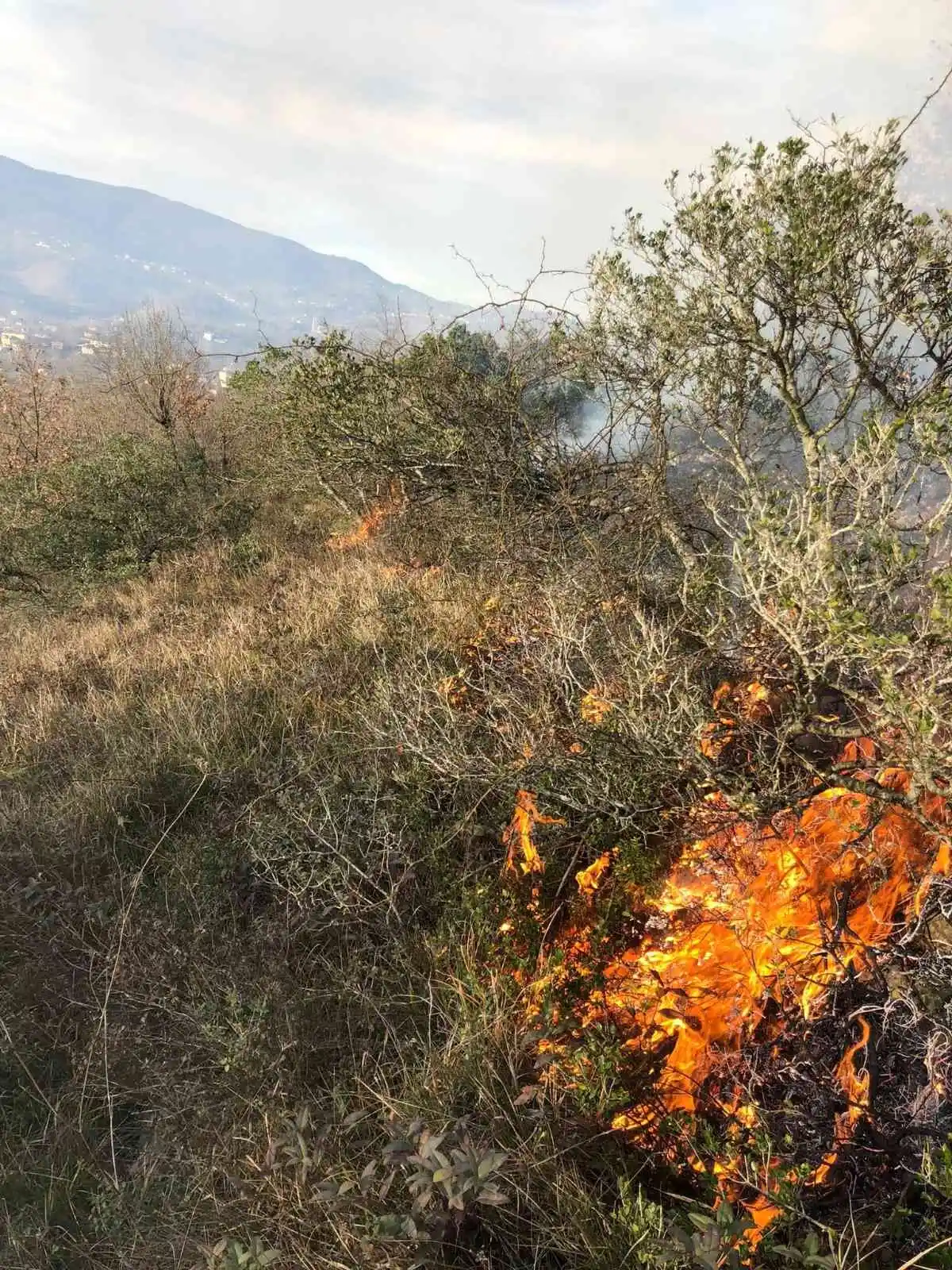 Orman yangını köylülerin müdahalesiyle söndürüldü