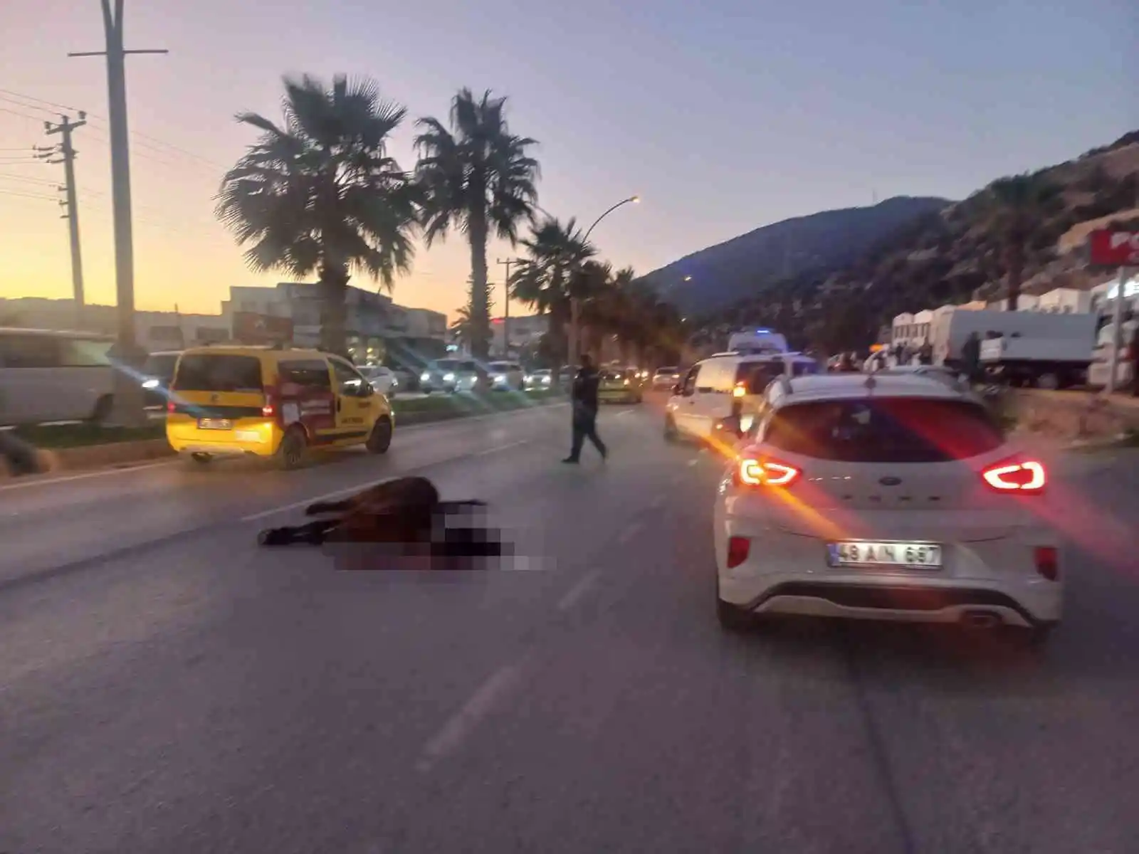 Otomobil aniden yola çıkan ata çarptı: 2 yaralı
