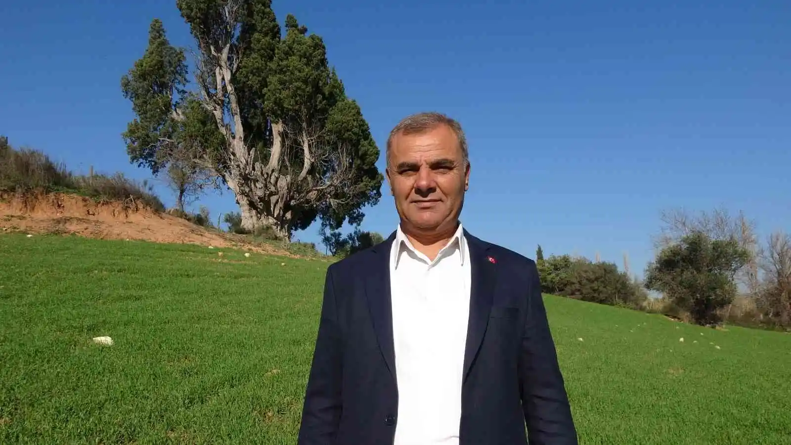 (Özel) 2 bin 500 yıllık olduğu öne sürülen dev selvi ağacının tescillenmesini istiyorlar