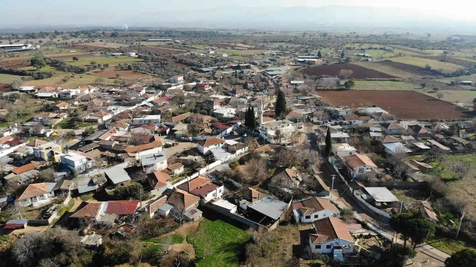 (Özel) 2 bin 500 yıllık olduğu öne sürülen dev selvi ağacının tescillenmesini istiyorlar