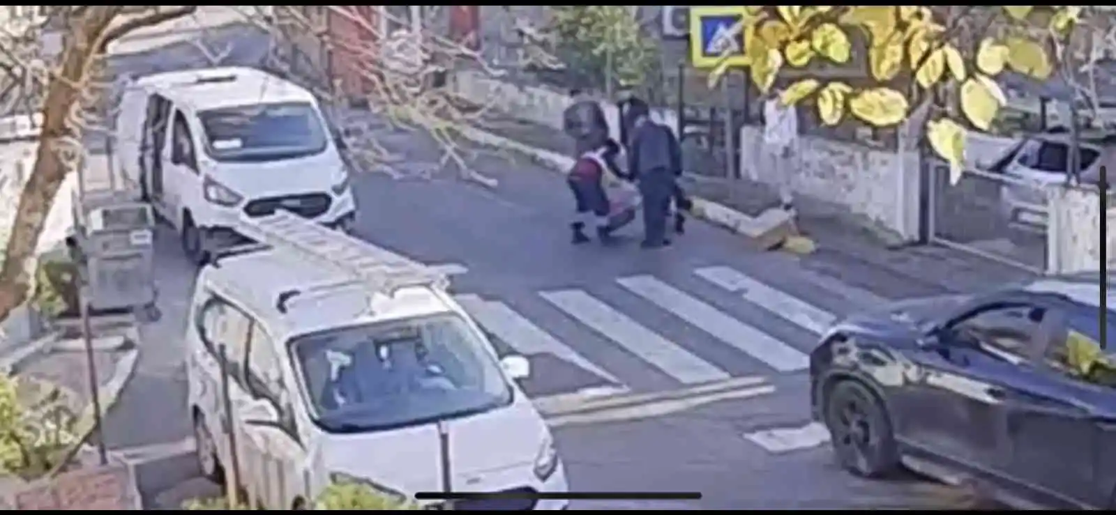 Pendik’te vicdansız sürücü kediyi ezip kaçtı, o anlar kameraya yansıdı