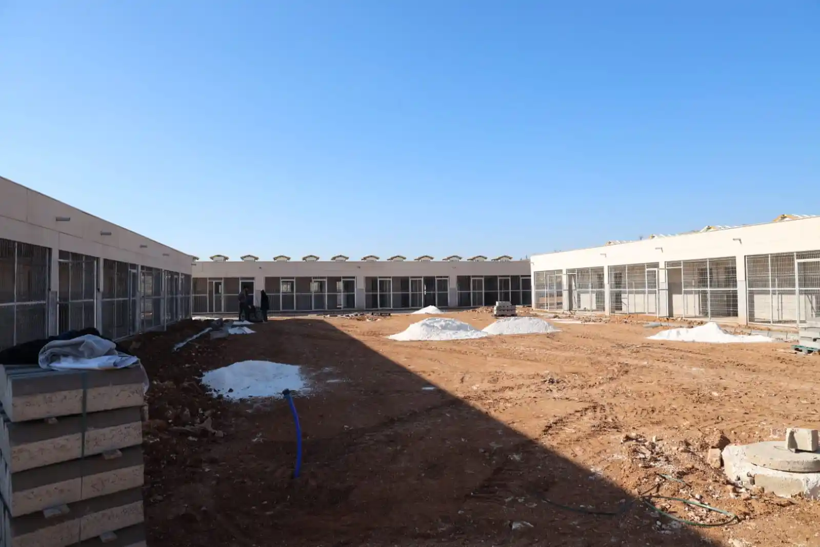 Sokak hayvanları sıcak yuvalarına kavuşuyor