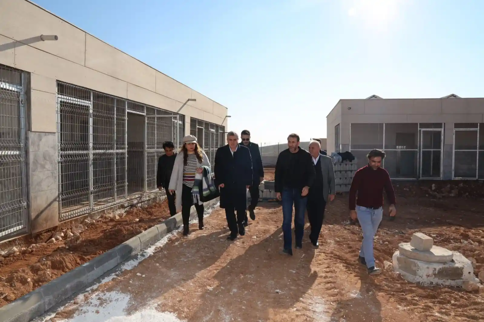 Sokak hayvanları sıcak yuvalarına kavuşuyor