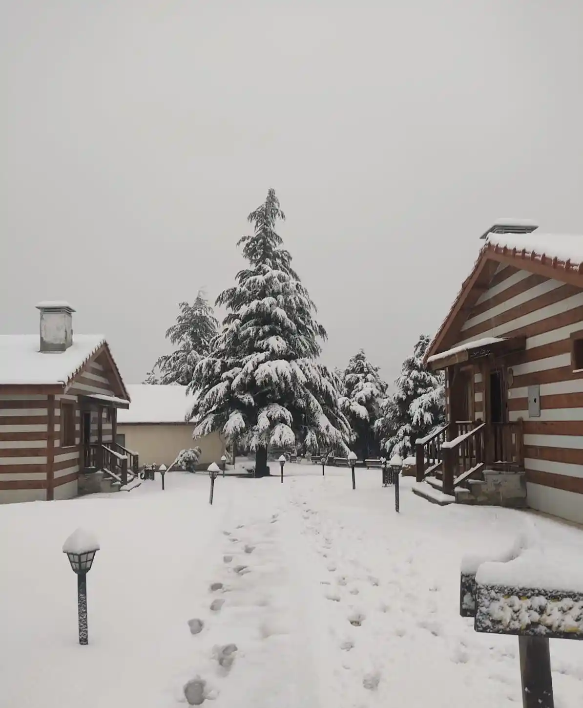 Spil Dağı Milli Parkı beyaza büründü
