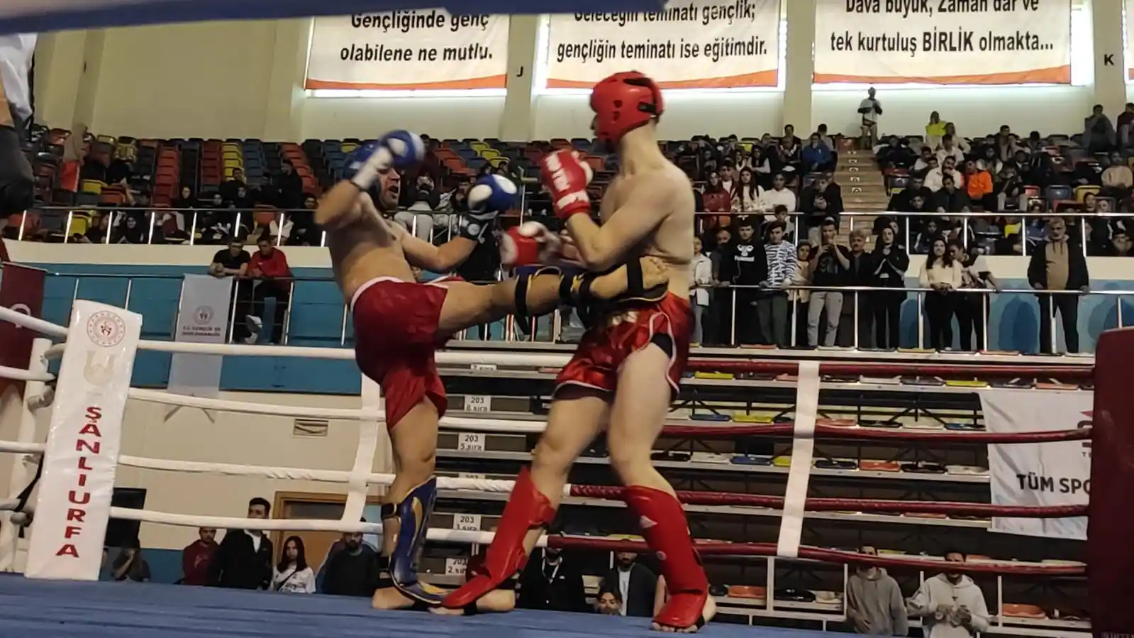 Türkiye Kick Boks heyecanı Şanlıurfa’da başladı
