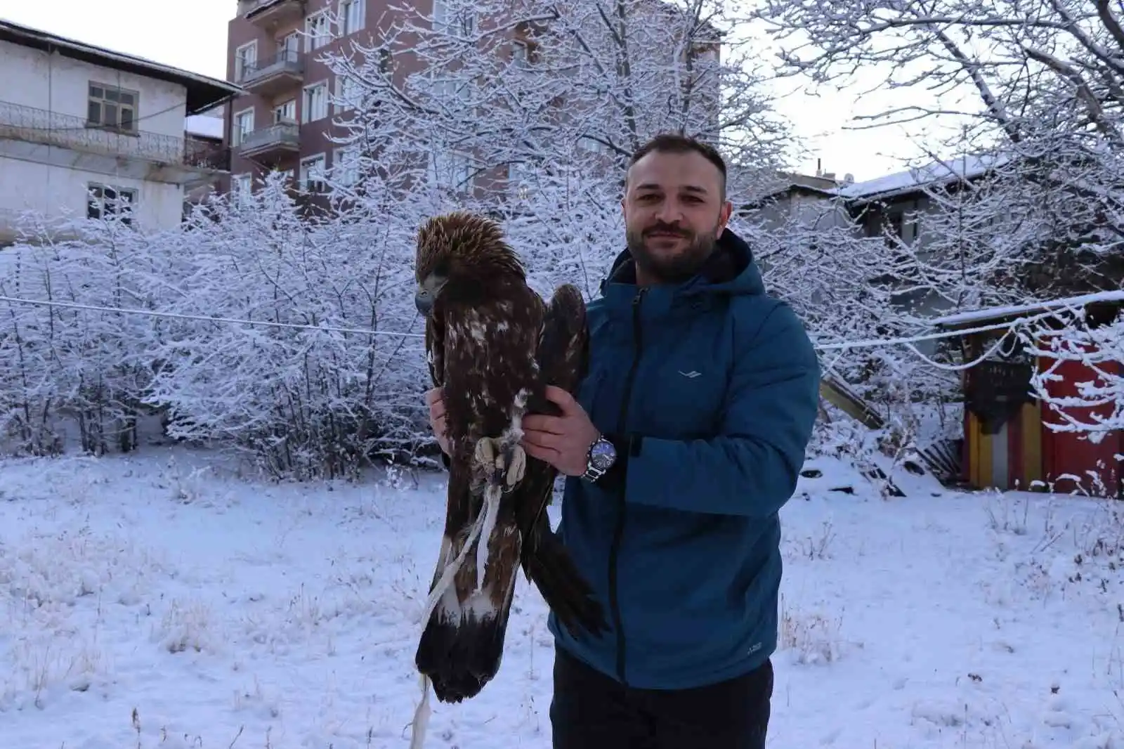 Uçamayan kartalı arabasına alıp tedavi için ilçeye getirdi