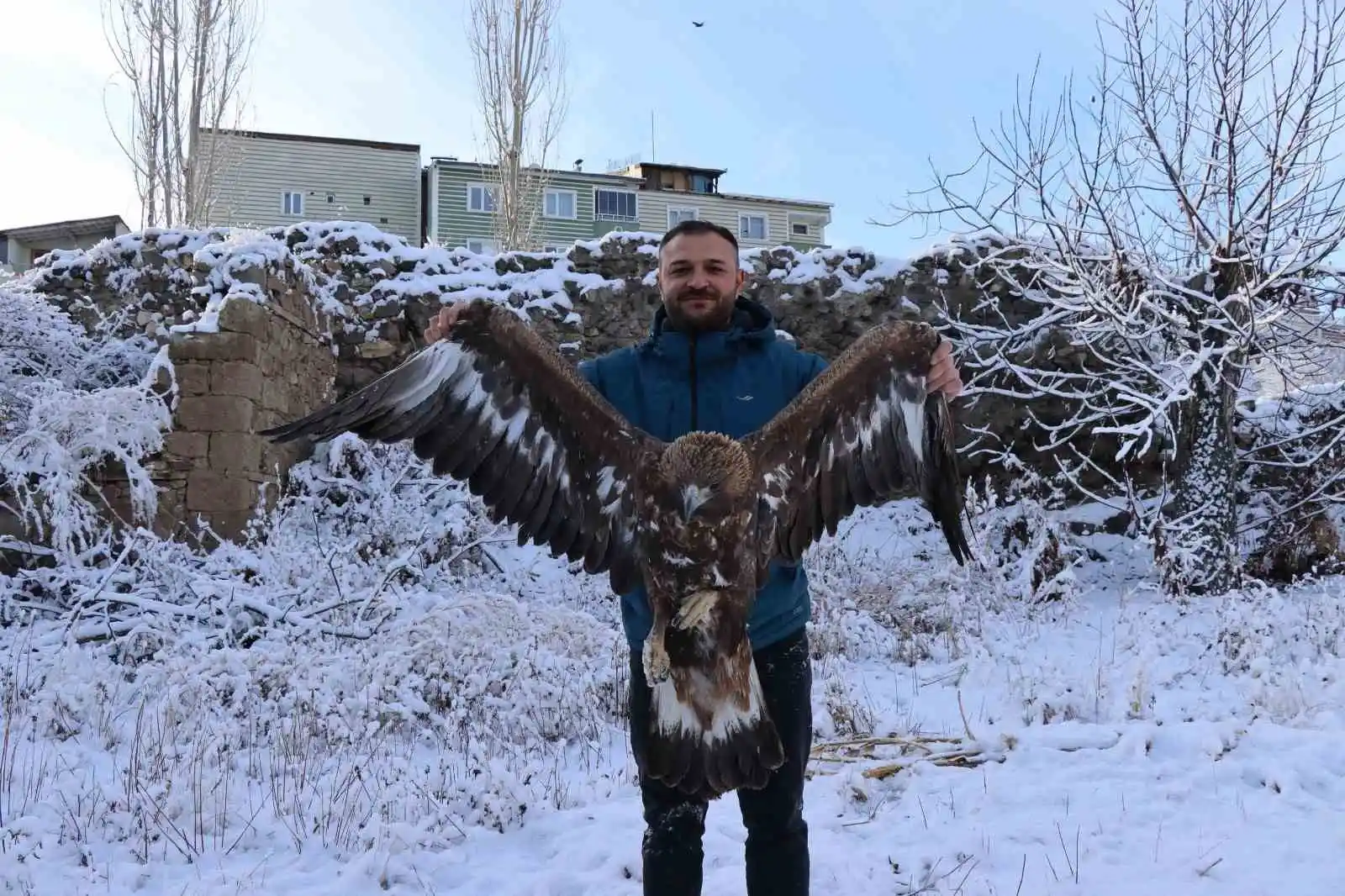 Uçamayan kartalı arabasına alıp tedavi için ilçeye getirdi