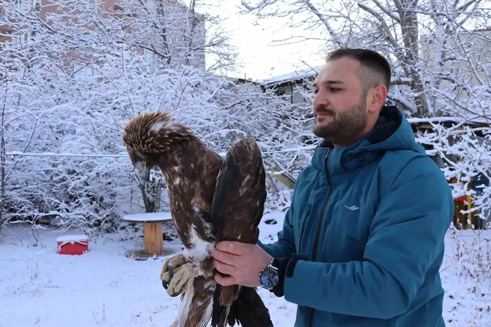 Uçamayan kartalı arabasına alıp tedavi için ilçeye getirdi
