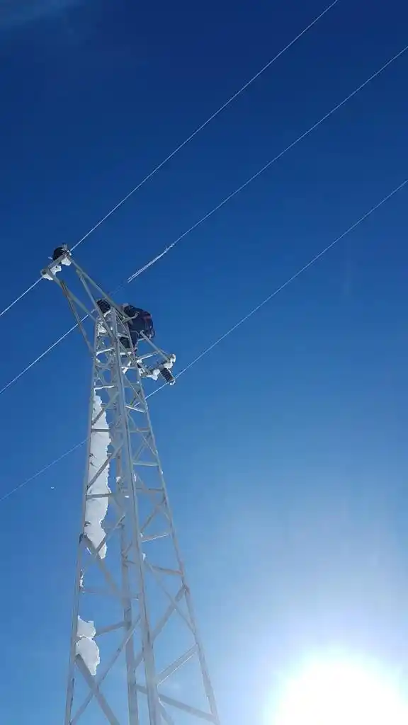 Üs bölgelerde elektrik direkleri buz tuttu