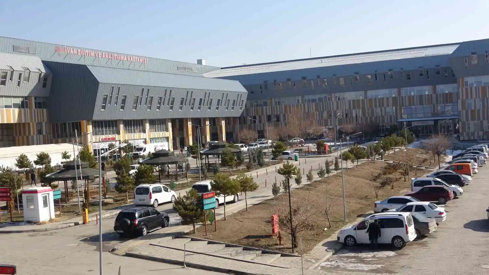 Van’da 5 yıl aradan sonra ilk kez ’TAVİ işlemi’ yapıldı