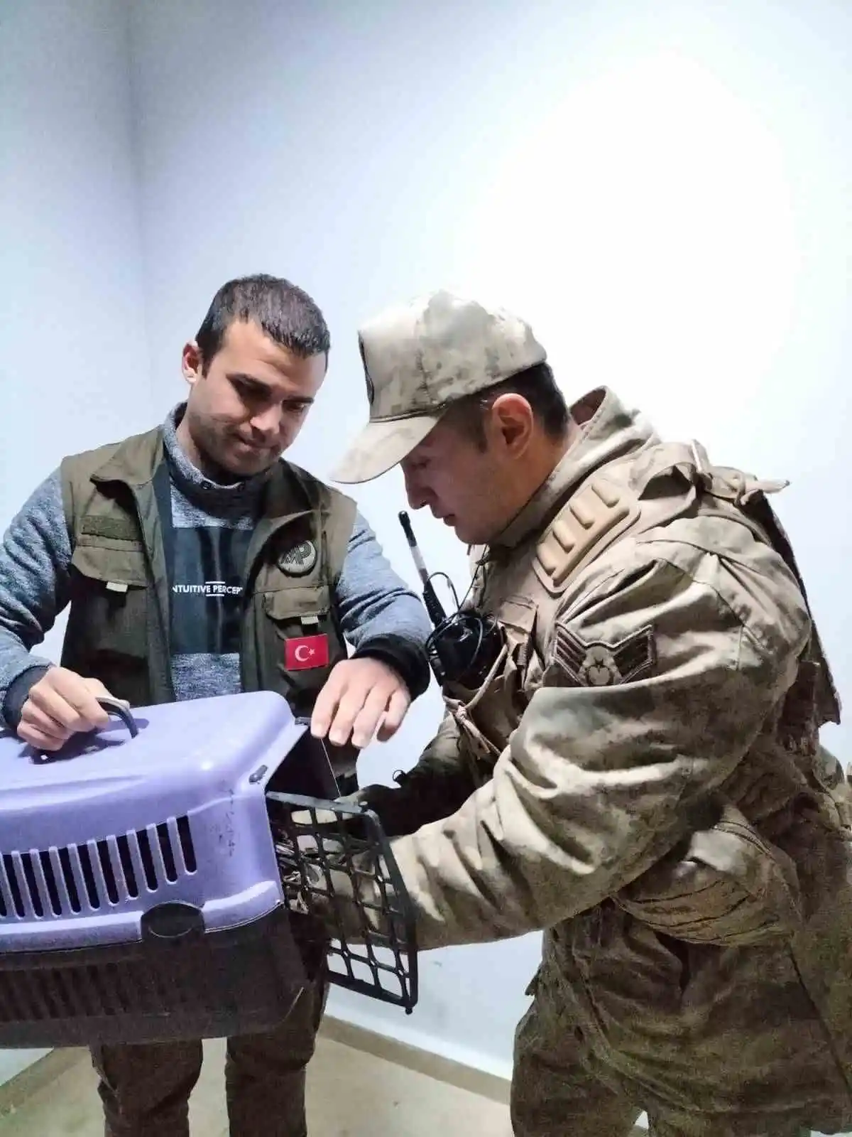 Yaralı atmacaya jandarmadan şefkat eli