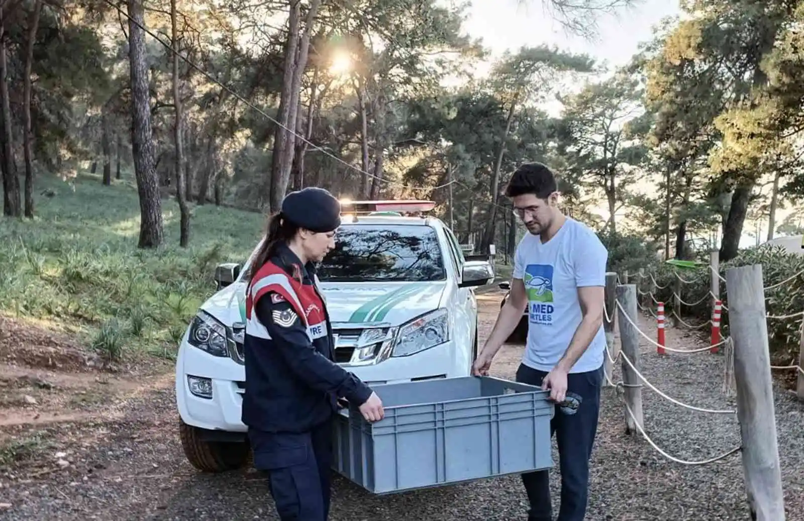 Yavru yeşil deniz kaplumbağası DEKAMER’de tedaviye alındı
