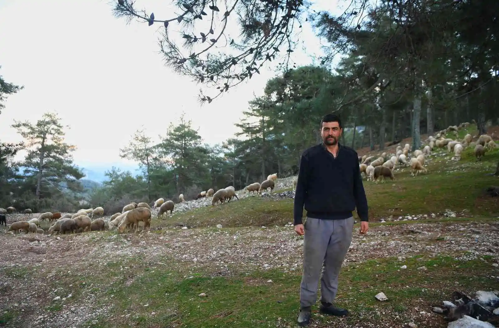 Yaylada koyunlarıyla birlikte 3 gün mahsur kalan çobanı belediye ekipleri kurtardı