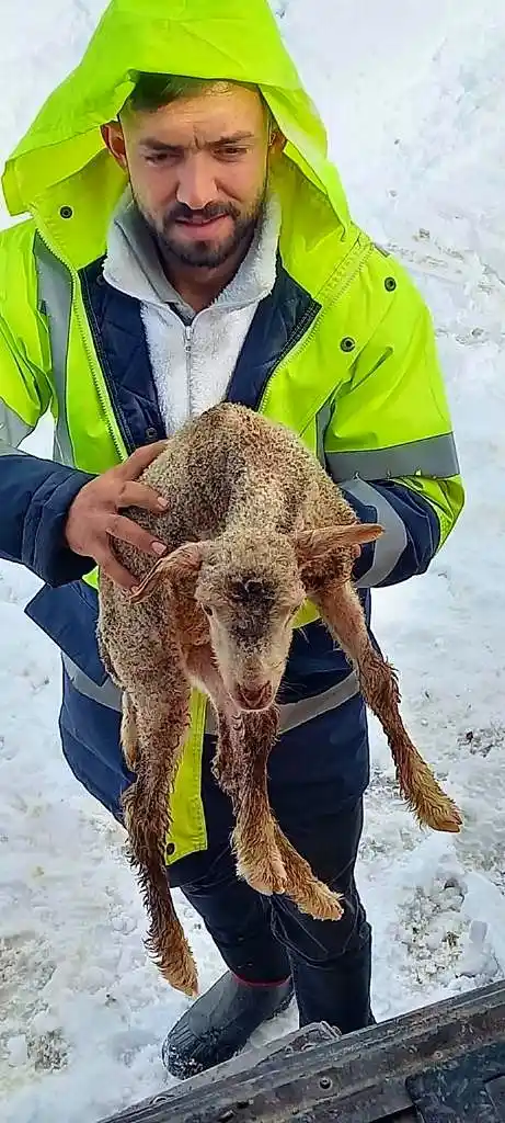 Yaylada koyunlarıyla birlikte 3 gün mahsur kalan çobanı belediye ekipleri kurtardı
