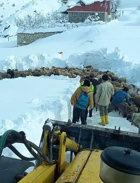 Yaylada koyunlarıyla birlikte 3 gün mahsur kalan çobanı belediye ekipleri kurtardı
