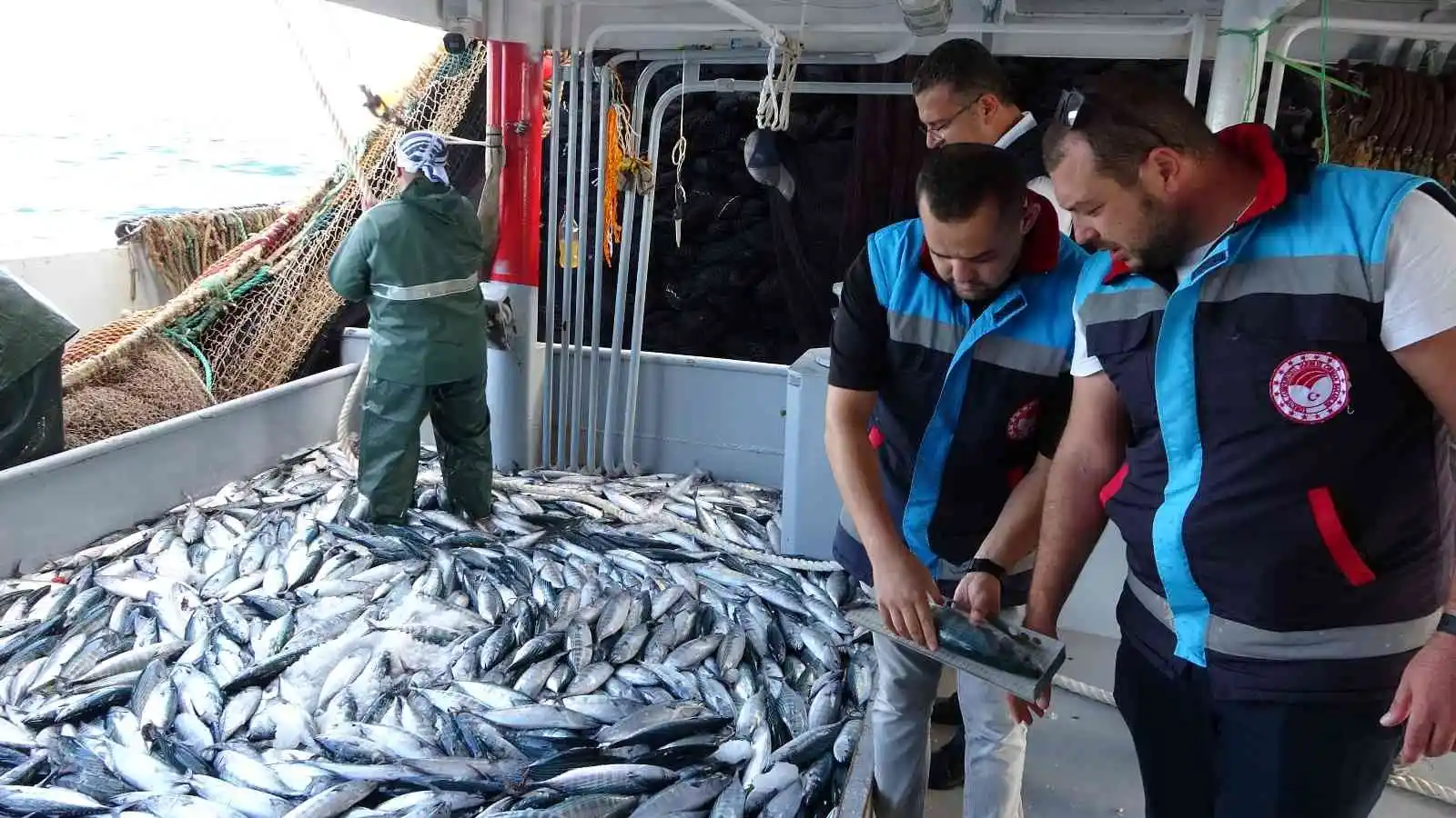 Yılmaz: “Ordu’da sürdürülebilir balıkçılığın sağlaması adına bin 417 denetim yapıldı”
