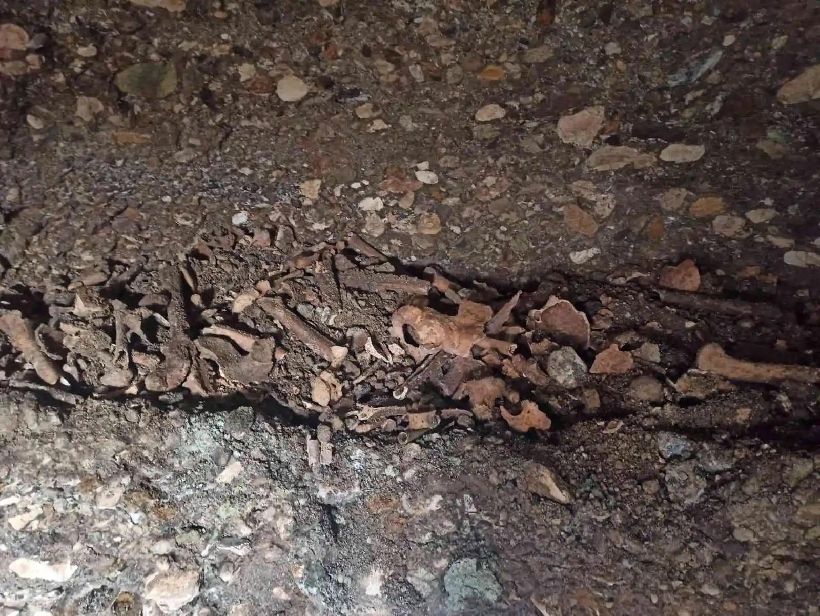 Yol çalışmasında 1600 yıllık oda mezar bulundu
