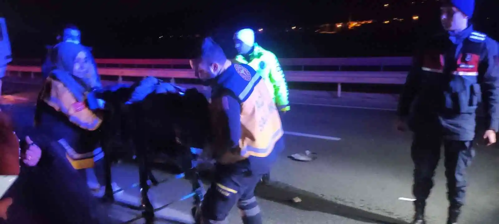 Yolda kalan sürücüye yardım etmek için duran karayolları ekibinin aracına tır çarptı: 3 yaralı
