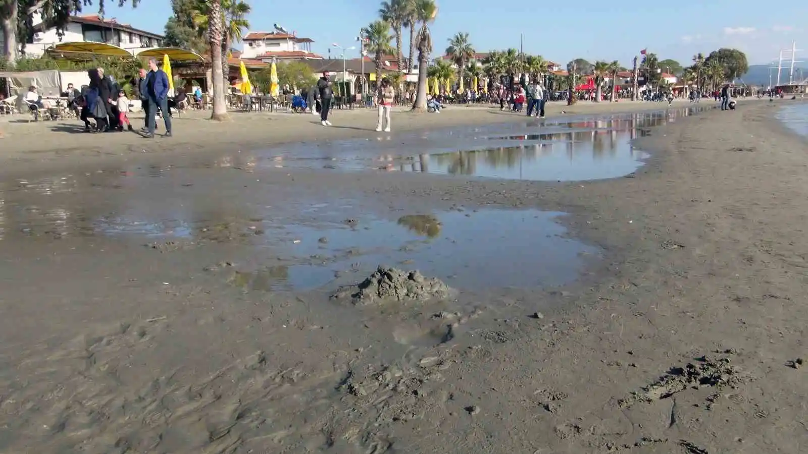 Akyaka’da ürküten deniz suyu çekilmesi 50 metreye ulaştı