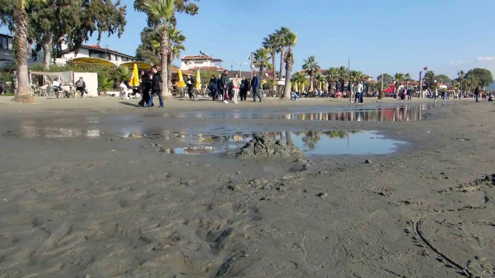 Akyaka’da ürküten deniz suyu çekilmesi 50 metreye ulaştı