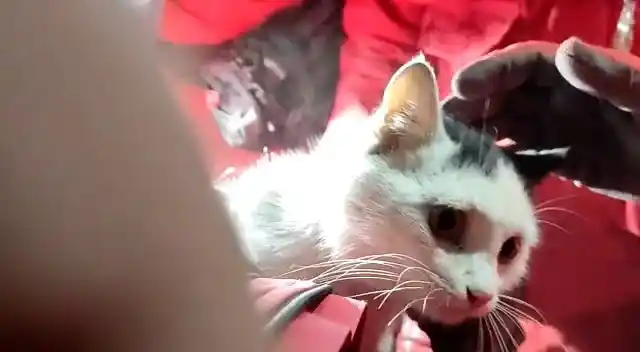 Anne ve oğlu 2 saat arayla enkazdan kurtarıldı
