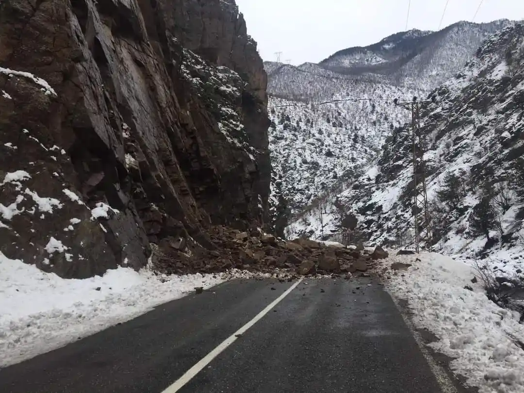 Artvin-Ardahan karayolunda bir heyelan daha