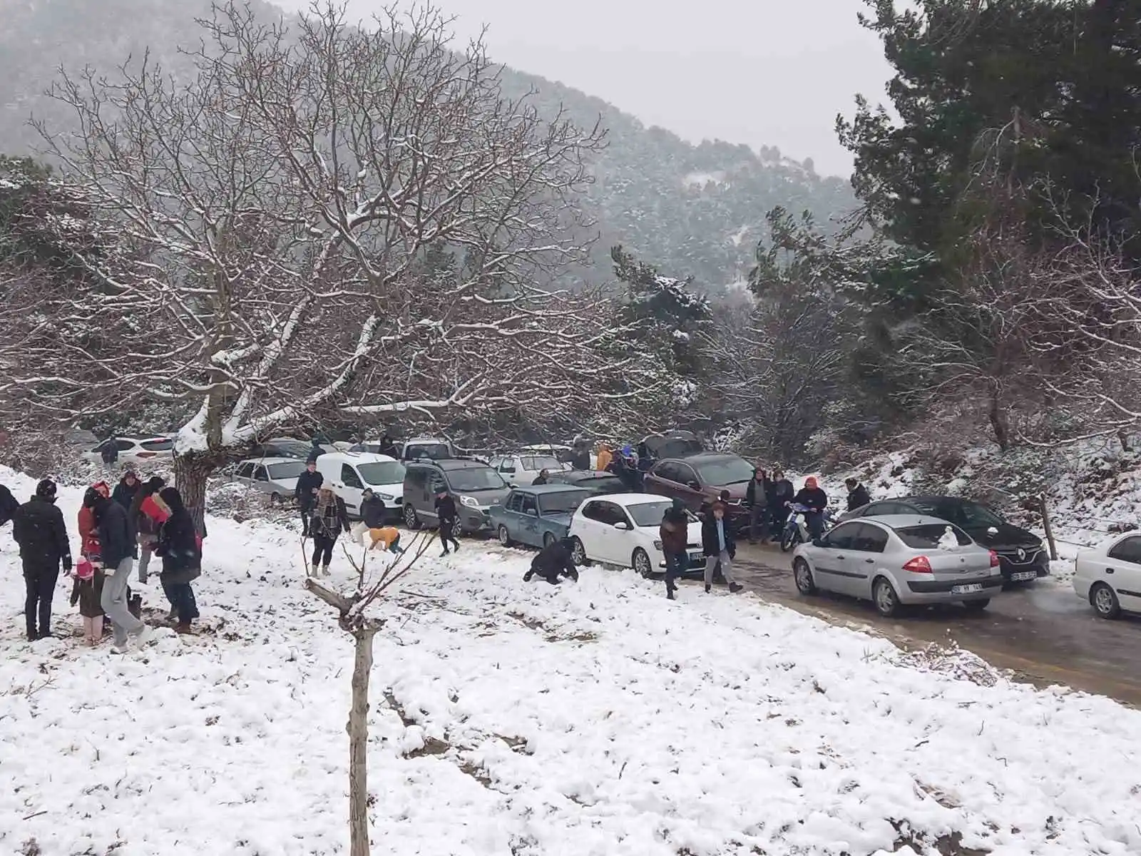 Aydın'a kar gelmeyince vatandaşlar kara gitti