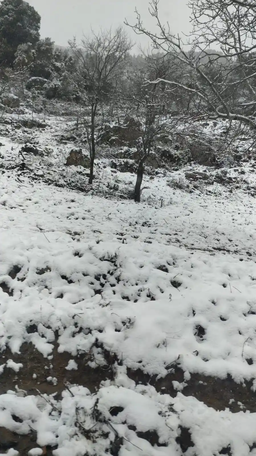 Aydın’a kar gelmeyince vatandaşlar kara gitti
