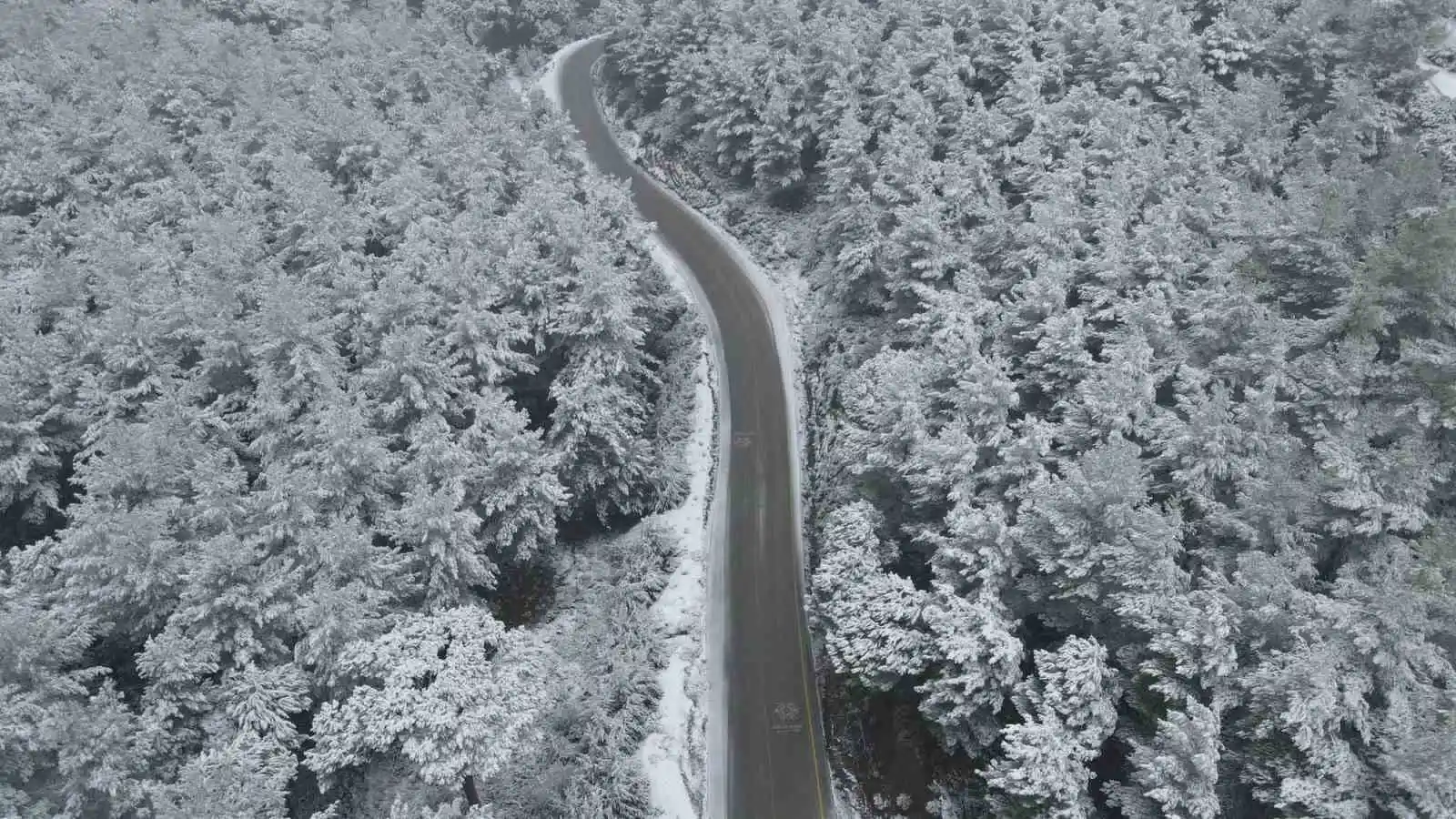 Aydın’da kara kış etkisini gösterdi
