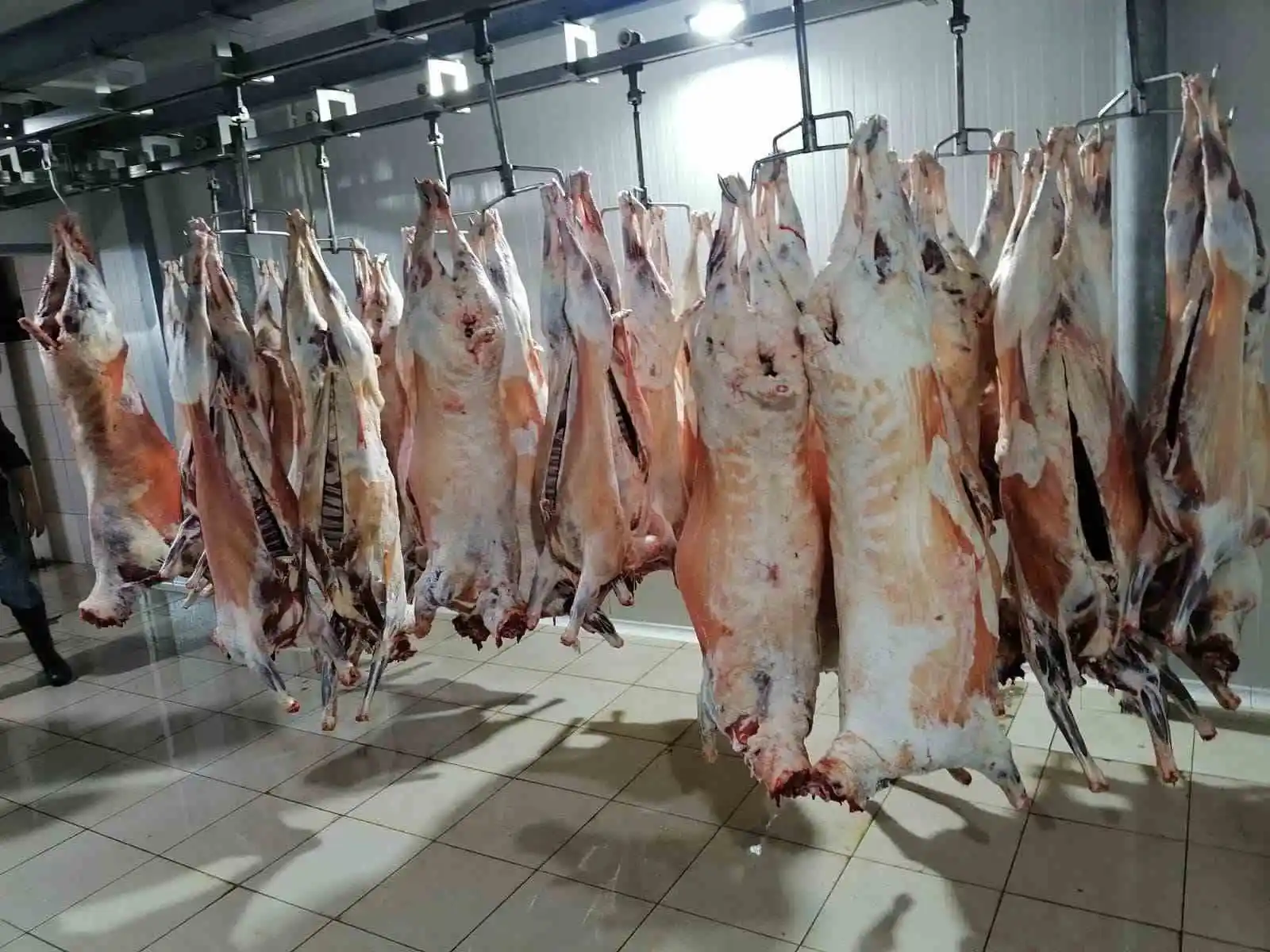 Bağışlanan büyük ve küçükbaş hayvanlar kesilerek deprem bölgesine gönderildi