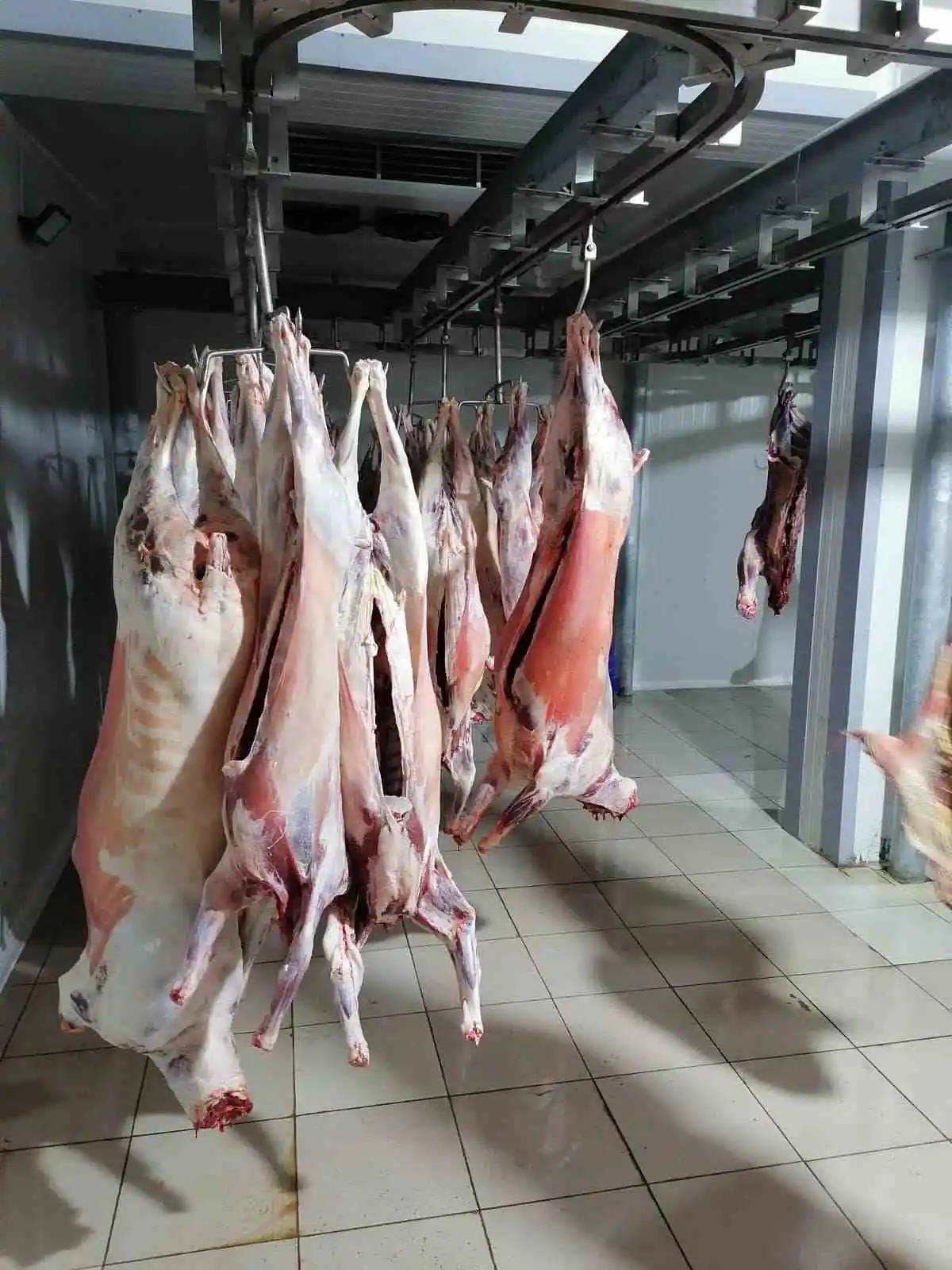 Bağışlanan büyük ve küçükbaş hayvanlar kesilerek deprem bölgesine gönderildi