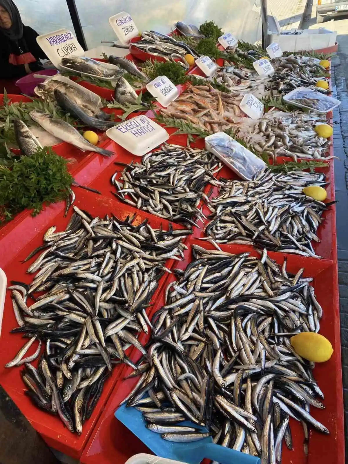 Balıkçılar hamsi bolluğu için soğuk havayı bekliyor