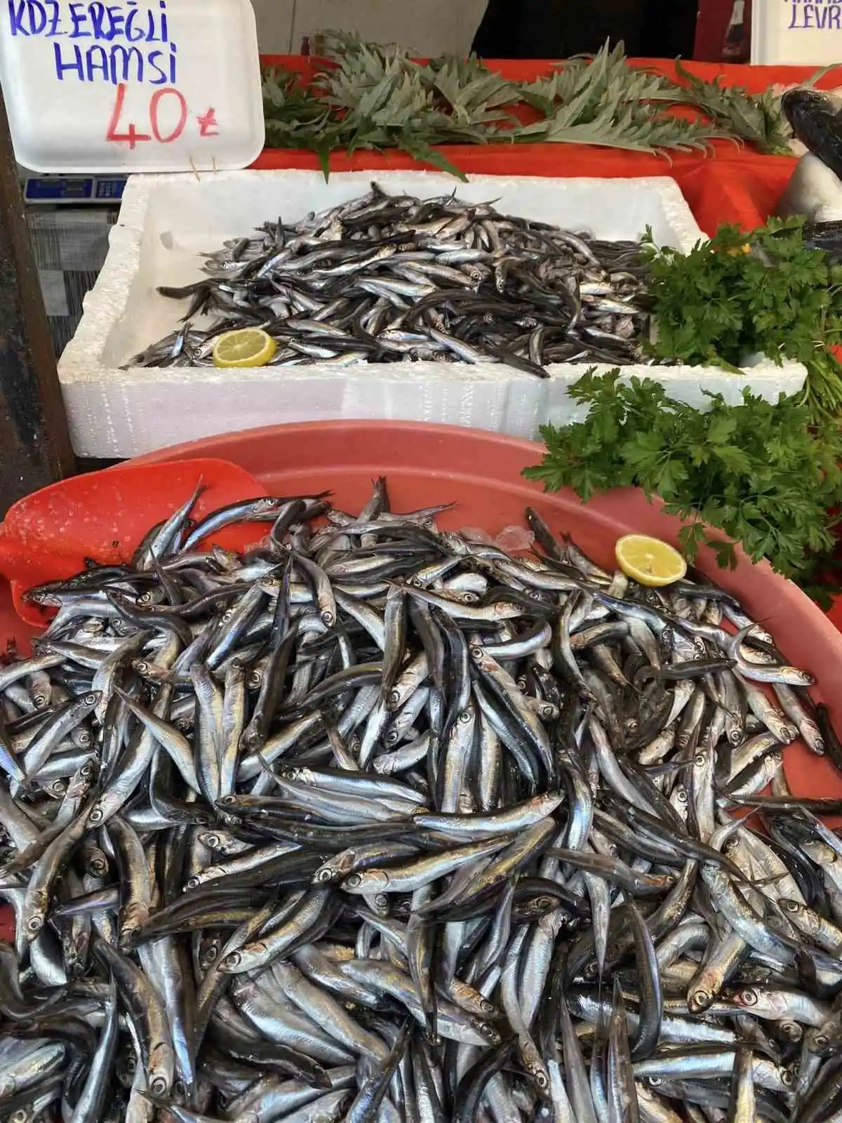 Balıkçılar hamsi bolluğu için soğuk havayı bekliyor