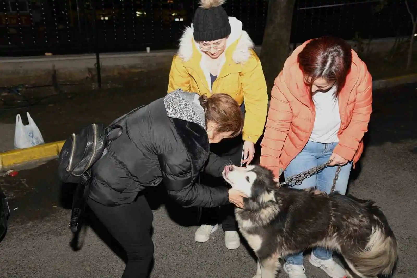 Depremzede köpek Bella İstanbul'da yeni ailesine kavuştu
