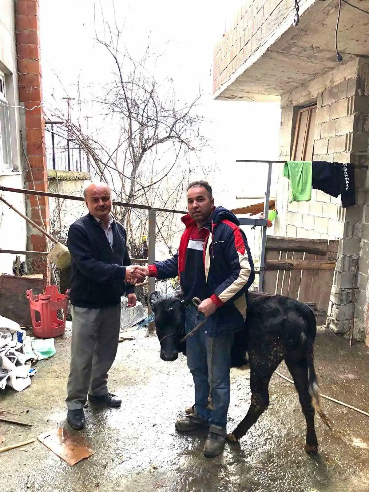 Gözü gibi besleyip büyüttüğü hayvanını depremzedeler için sattı