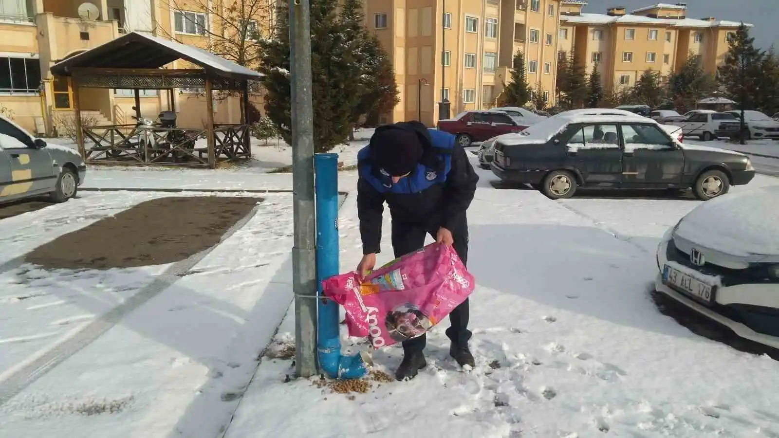 Hisarcık Belediyesi sokak hayvanlarını aç bırakmadı