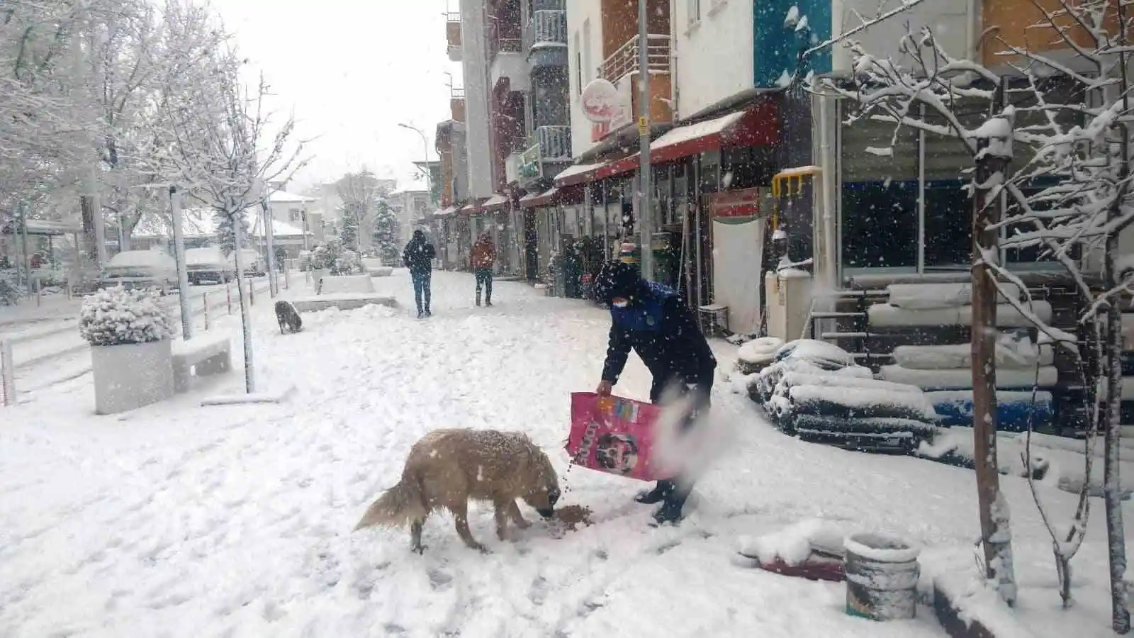Hisarcık Belediyesi sokak hayvanlarını aç bırakmadı
